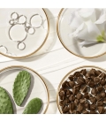 REVITALIZING SUPREME + Baume yeux révélateur de jeunesse - anti-âge