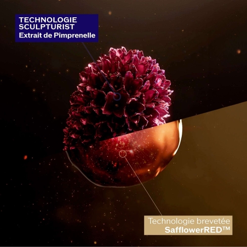 VITAL PERFECTION Crème Suprême Concentrée Vital Perfection