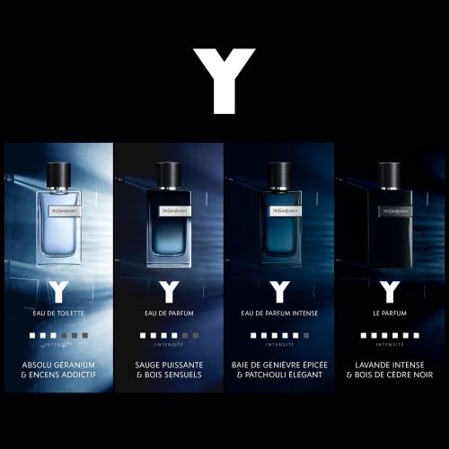 Y  Eau De Parfum Intense Homme