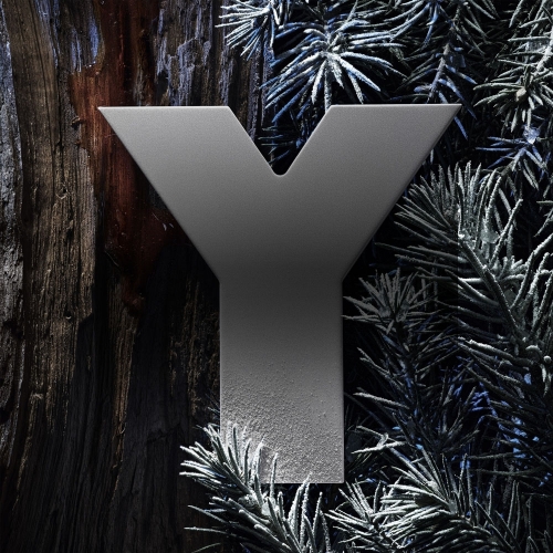 Y PARFUM Parfum fougère ambré pour homme