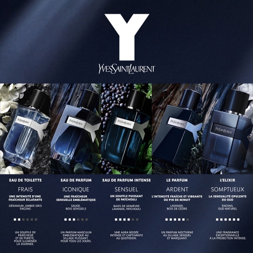 Y PARFUM Parfum fougère ambré pour homme