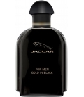 GOLD IN BLACK Eau de Toilette Vaporisateur
