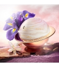 COSMIC Eau de Parfum Vaporisateur