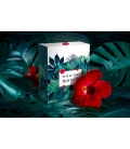 EAU DE BAHIA Coffret parfum 100 ml + huile pailletée corps 50 ml