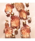 VENUS DE NINA RICCI Eau de Parfum Florale 