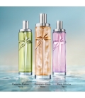 STARLICIOUS BERRY LICORICE Eau de Toilette Pour Femme Ambrée Fruitée Gourmande