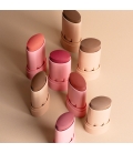 IDENTISTICK Blush en stick