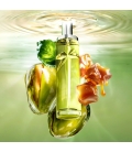 STARLICIOUS PISTACHIO PRALINE Eau de Toilette Gourmande