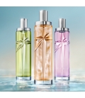 STARLICIOUS PISTACHIO PRALINE Eau de Toilette Gourmande