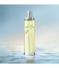 STARLICIOUS PISTACHIO PRALINE Eau de Toilette Gourmande