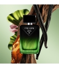 PARADIGME LE PARFUM Parfum homme boisé ambré longue tenue