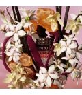 VALENTINO BORN IN ROMA INTENSE  DONNA Eau de Parfum Intense Florale Ambrée Pour Elle