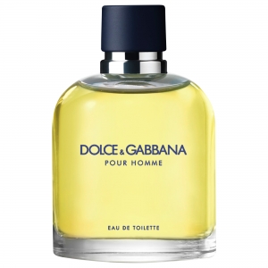 DOLCE & GABBANA POUR HOMME Eau de Toilette Vaporisateur 