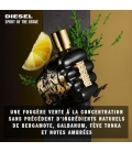 Diesel-Fragrance-Spirit-Of-The-Brave-000-3614272631915-Ingredient