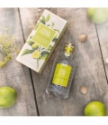 CITRON VERT MUSCADE Eau de Cologne Splash & Spray