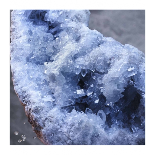 INVICTUS Gel douche