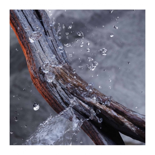 INVICTUS Gel douche