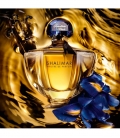 SHALIMAR PHILTRE DE PARFUM Eau de Parfum