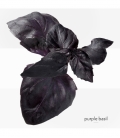 EAU DE BASILIC POURPRE  Eau de Cologne Vaporisateur