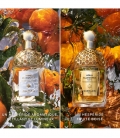 AQUA ALLEGORIA FORTE Mandarine Basilic - Eau de Parfum