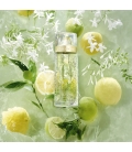 Ô DE LANCÔME Eau de Toilette Vaporisateur 