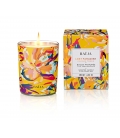 LOST PARADISE Bougie Parfumée