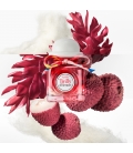 Tutti Twilly d'Hermès Eau de Parfum Vaporisateur 