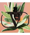 VALENTINO BORN IN ROMA CORAL FANTASY Eau de Toilette Pour Lui Ambré Fruité