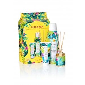 MOANA Coffret noël mousse de douche, crème mains , bouquet 