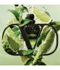 BORN IN ROMA GREEN STRAVAGANZA UOMO Eau de Toilette Pour Lui Fougère Ambrée