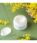 CRÈME ENERGISANTE LISSANTE MIMOSA Crème visage