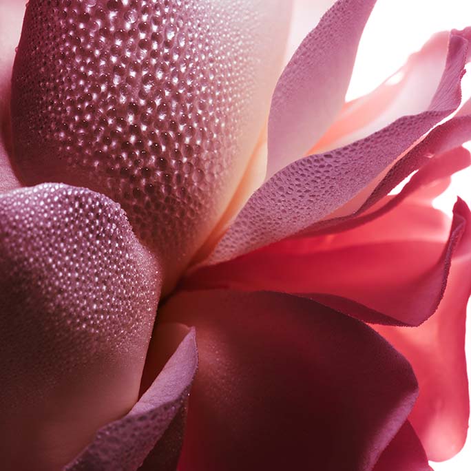 Guerlain