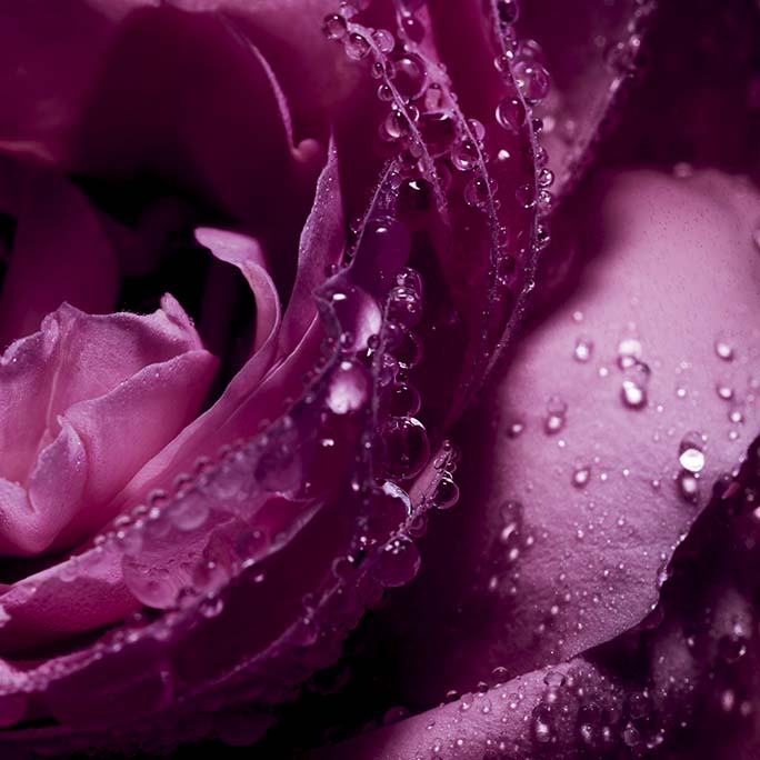Guerlain